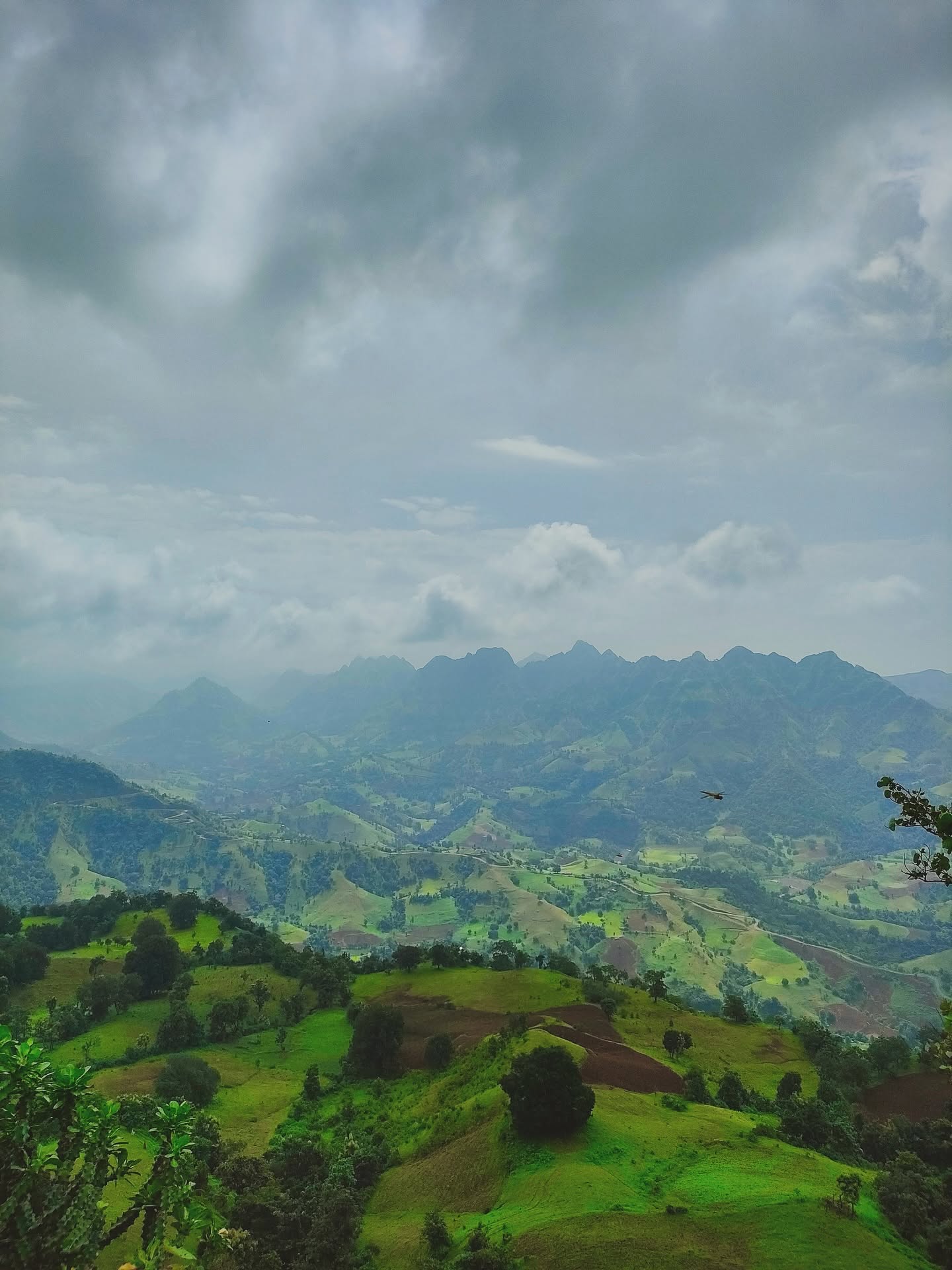 Monsoon trip 7