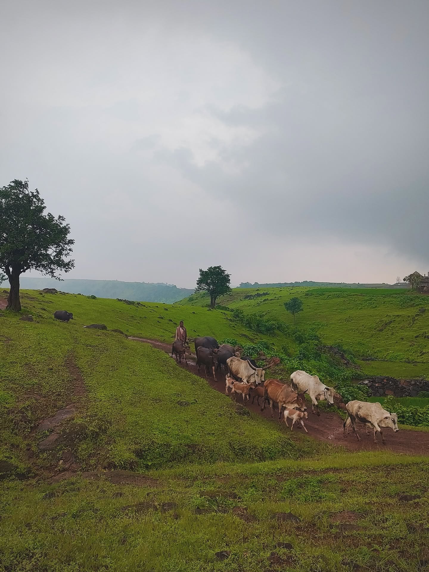 Monsoon trip 8