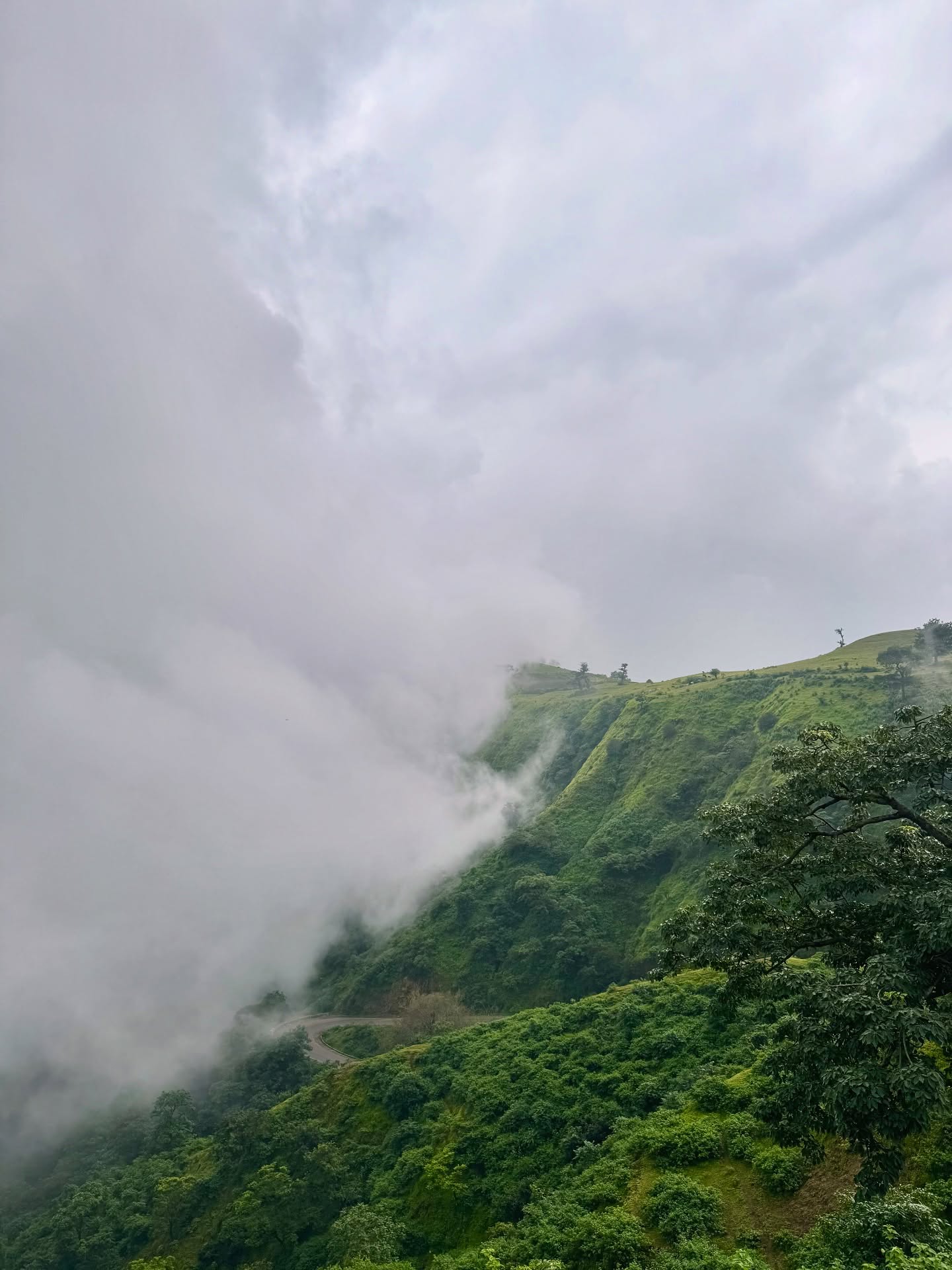Monsoon trip 9