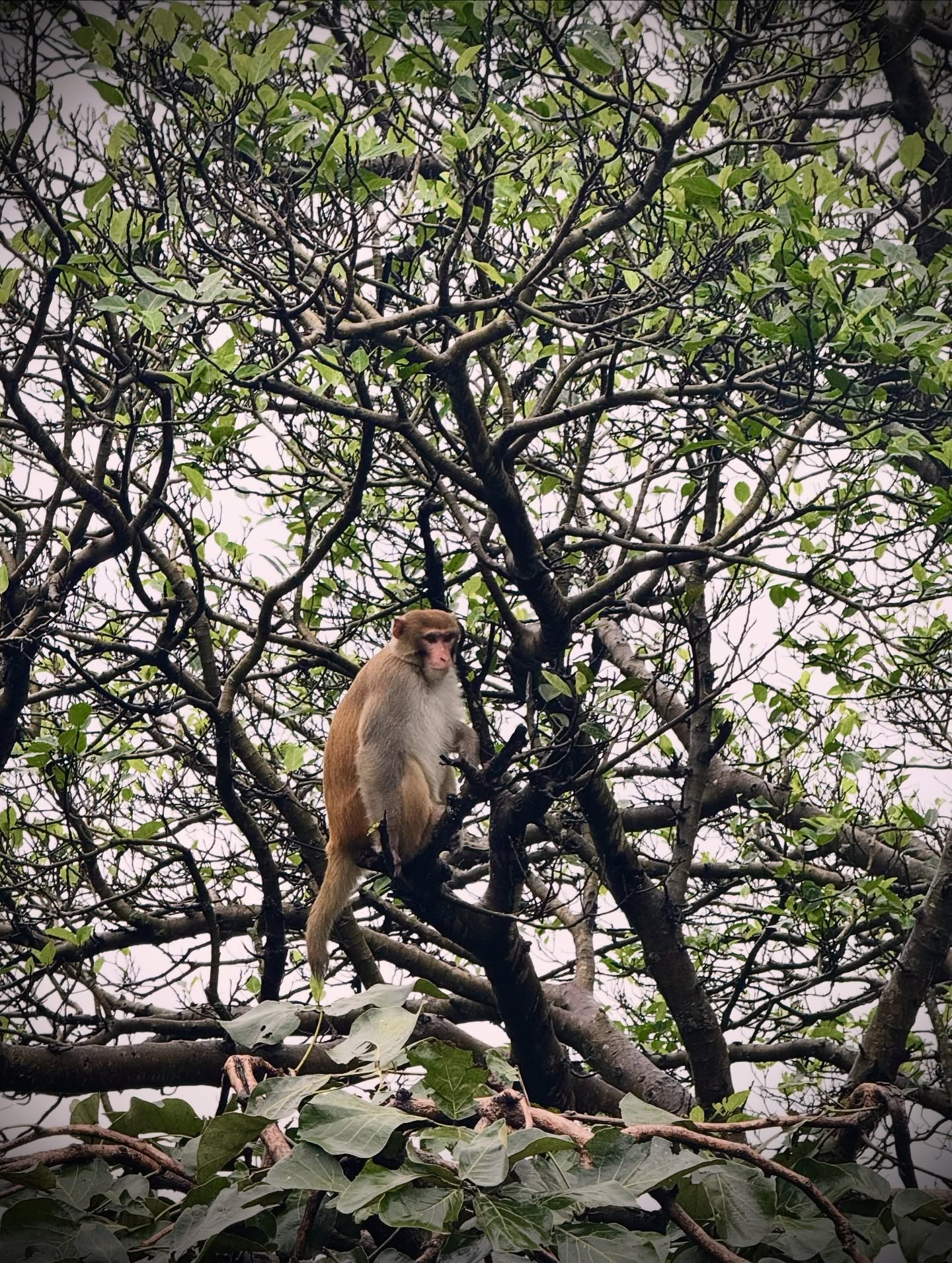 Monsoon trip 12