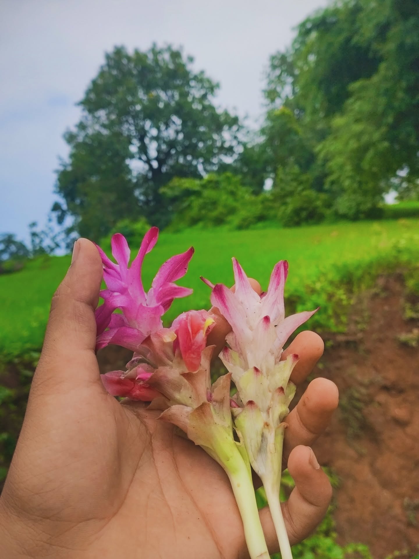 Monsoon trip 15