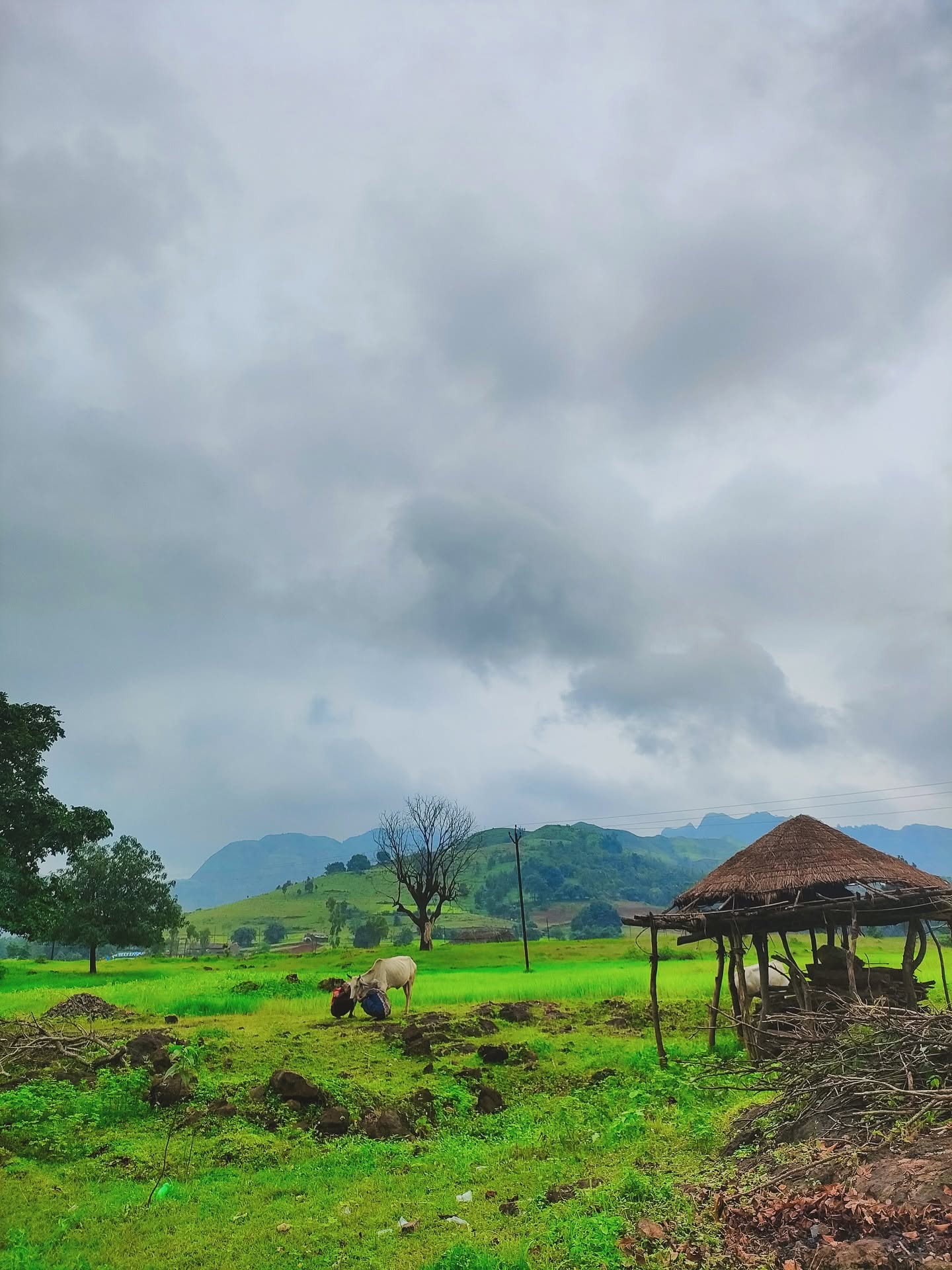 Monsoon trip 17