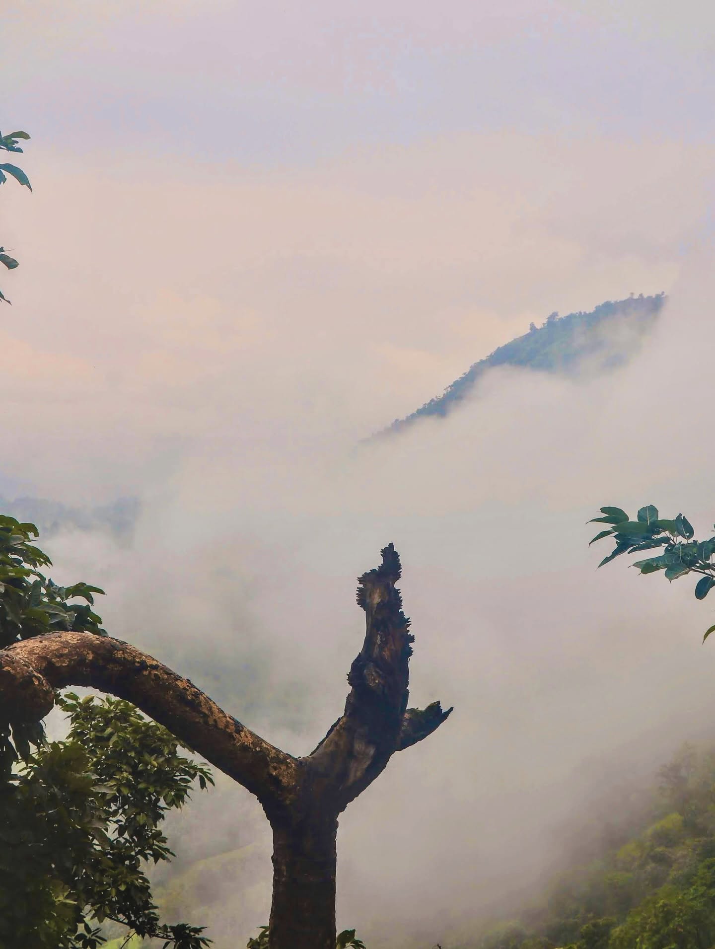 Monsoon trip 21