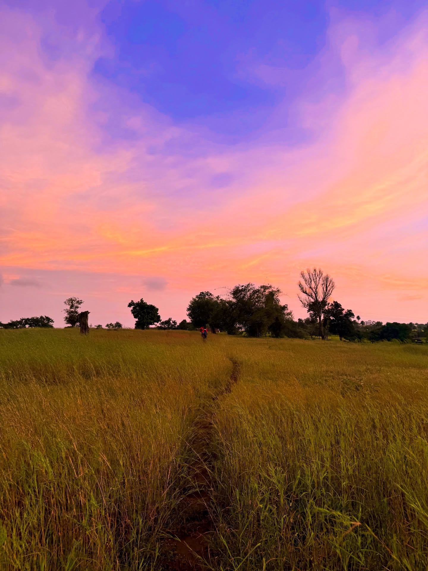 Monsoon trip 26