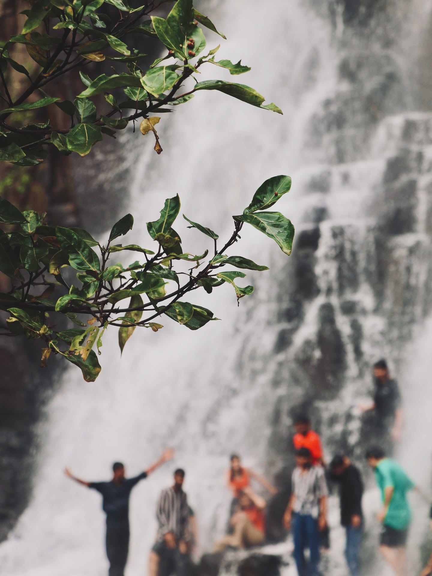 Mesmerizing Waterfalls 2